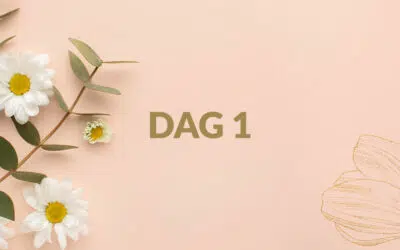 Dag 1